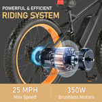 350W Electric Bike Mountain Ebike MTB Fat Tire Snow Bicycle