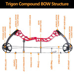 1set 19-70lbs TRIGON Compound Bow Kit Right Hand