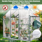 Walk-in Polycarbonate Greenhouse Aluminum Frame with Window and Sliding Door