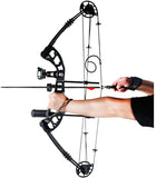 SinoArt Compound Bow 30-55lbs Max Speed 310fps with Accessories Right Handed